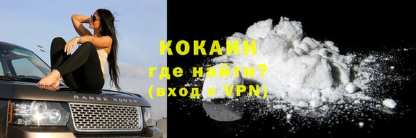 стаф Балахна