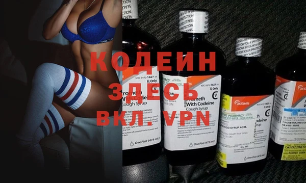 шишки Белоозёрский
