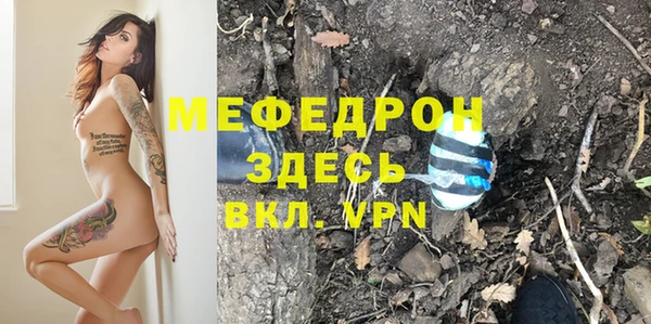 шишки Белоозёрский