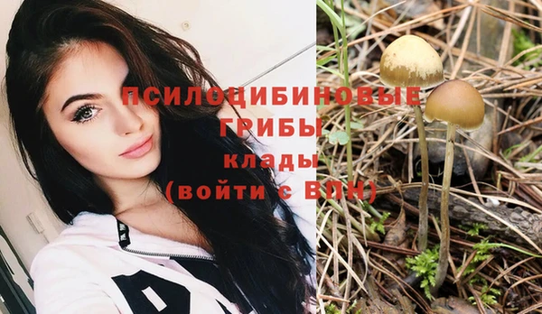 ГАЛЛЮЦИНОГЕННЫЕ ГРИБЫ Балабаново