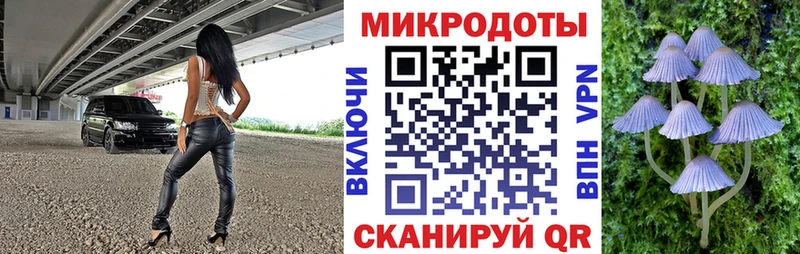 магазин продажи   Луховицы  Псилоцибиновые грибы мухоморы 